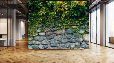 A stone wall covered with ivy Wall mural