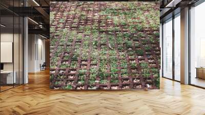 field carpet with natural field, Geometric texture with herbs Wall mural