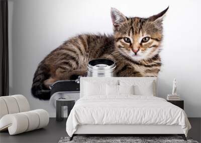 Little cute kitten with vintage photo camera on white background. Wall mural