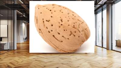 Almond nut in shell isolated on white background close up Wall mural