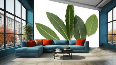 Aromatic bay leaves Wall mural