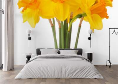 Daffodil flower or narcissus  bouquet  isolated on white backgro Wall mural