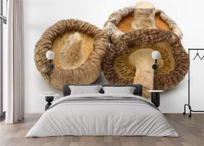 Dried Shiitake Mushroom isolated on white background Wall mural