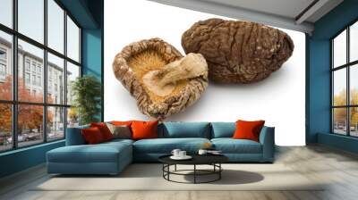 Dried Shiitake Mushroom isolated on white background Wall mural