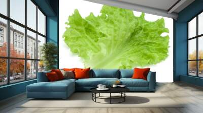 fresh green lettuce salad leaves isolated on white background Wall mural