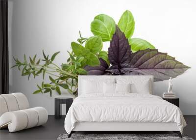 Fresh herb leaves variety isolated on white background. Purple dark opal basil, sweet basil, oregano, thyme. Wall mural