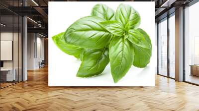 Fresh sweet Genovese basil leaves isolated on white background cutout. Wall mural