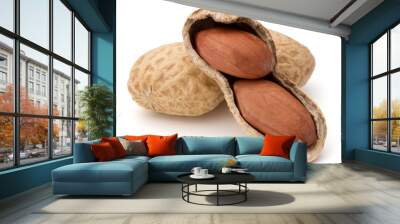 Opened peanut or groundnut pod isolated on white background close up Wall mural