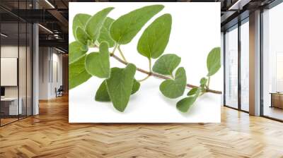 Oregano or marjoram leaves isolated on white background cutout Wall mural