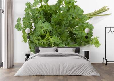 parsley leaves bunch isolated on white background cutout Wall mural