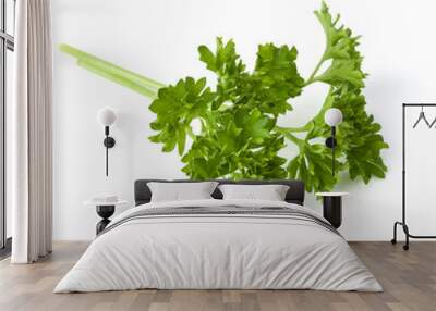 parsley leaves bunch isolated on white background cutout Wall mural