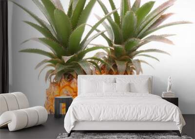 Pineapple tropical fruit or ananas Wall mural