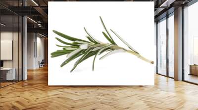 rosemary herb spice leaves isolated on white background cutout Wall mural