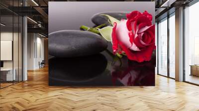 Spa stone and rose flowers still life. Healthcare concept. Wall mural