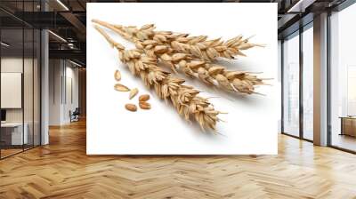 wheat ear isolated on white background cutout Wall mural