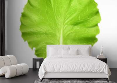 Fresh green leaf lettuce, vector illustration Wall mural