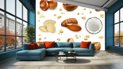 Nuts in the shell, vector icon set Wall mural