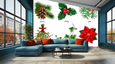 Plants, Christmas decorations. Spruce, holly, yew, mistletoe, ivy, poinsettia. 3d realistic vector set Wall mural