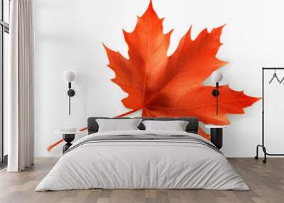 Red maple leaf, vector object Wall mural