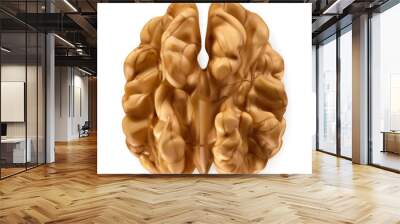 Walnut kernel. 3d realistic vector Wall mural