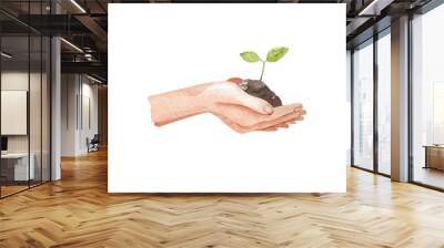 Female hands holding a green sprout. Garden watercolor illustration isolated on white background, hand drawn clipart. Human body fragment. Wall mural