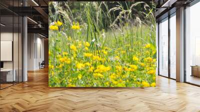 yellow beautiful flowers Wall mural