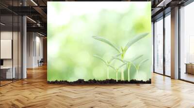 Young plant in the morning light on nature background, New life concept Wall mural