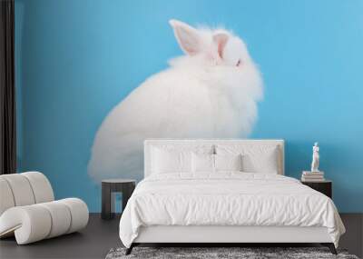 White adorable baby rabbit on blue background Wall mural