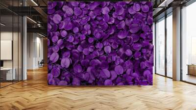 Purple leaves for backgrounds or wallpapers and designs. Purple nature background Wall mural