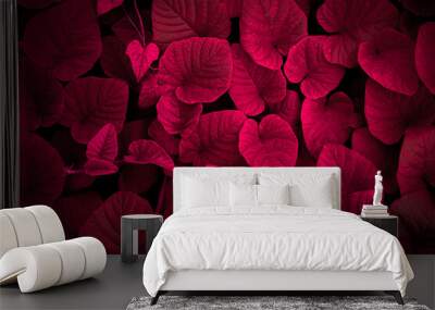 Red leaves for background or wallpaper and design. Red nature background	 Wall mural