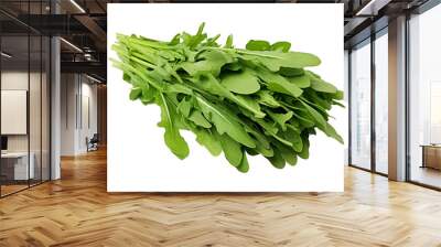 Fresh green arugula leaves in a bundle isolated on white background. Perfect for salad, garnish, or healthy cooking. Wall mural