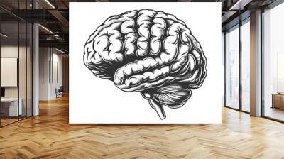 Hand-drawn illustration of a human brain in black and white, depicting intricate details of the brain's structure and anatomical features. Wall mural