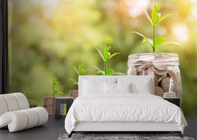 step of coins stacks with tree growing on top and coins in glass jar on table, nature background, mo Wall mural