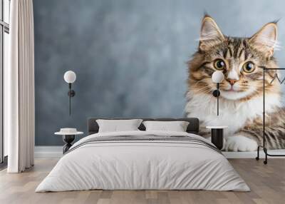 Playful tabby kitten with fluffy fur and big eyes looking curiously on a grey background, portrait with copy space. Wall mural