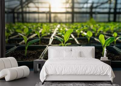 Fresh green seedlings thrive in greenhouse, basking in sunlight. vibrant plants are arranged in neat rows, showcasing their healthy growth in rich soil Wall mural