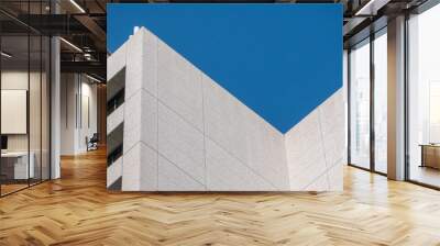 Abstract background architecture lines. modern architecture detail Wall mural