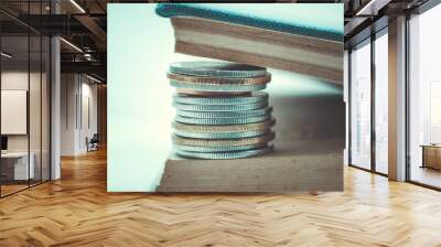 business finance. save money for investment concept coins with f Wall mural