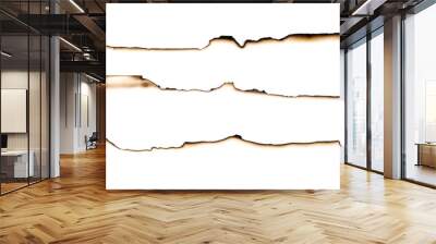 paper burned old grunge abstract background texture Wall mural