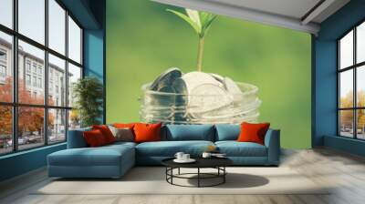 plant growing out of coins with filter effect retro vintage styl Wall mural