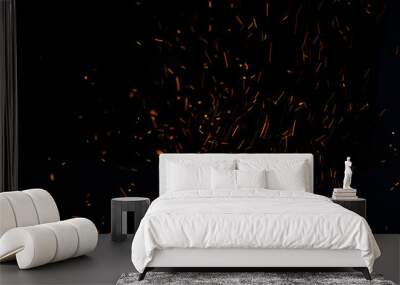 The flames of darkness float in the air.Fire charcoal. Wall mural