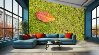 autumn leaves on fresh grass ground Wall mural