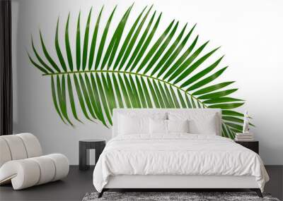 green palm leaf isolated on white background with clipping path Wall mural