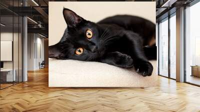 A Bombay cat lounging gracefully on a soft cushion, showcasing its sleek black coat and striking copper eyes, against a light solid color background Wall mural