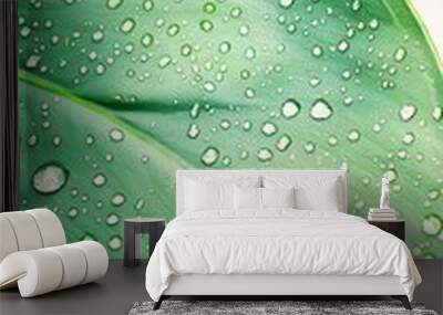 A close-up of a tropical jungle leaf with water droplets glistening in the sunlight, set against a light solid color background for a fresh and clean look Wall mural