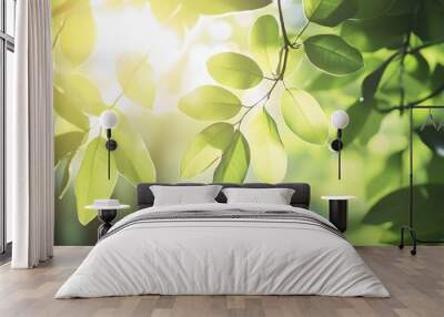 A close-up of fresh green leaves on a tree branch, capturing the sunlight filtering through the foliage,No blurriness Wall mural