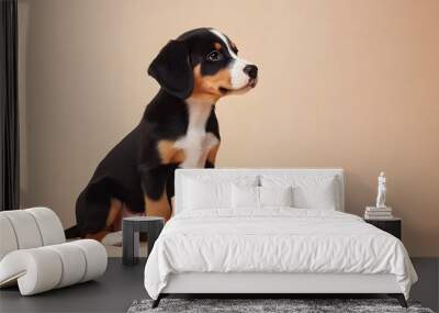 A playful Appenzeller Sennenhund puppy sitting on a light solid color background, showcasing its lively personality and distinctive markings Wall mural