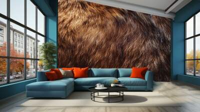 Close-up of rich brown bear fur with visible hair structure and texture Wall mural