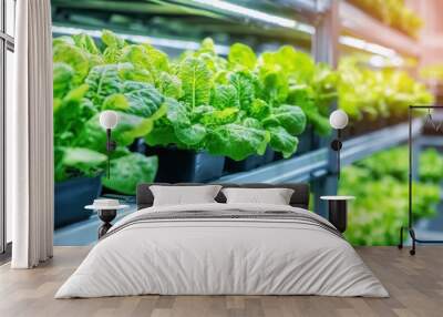 High-tech hydroponic farming system with vegetables growing in vertical racks under artificial light Wall mural