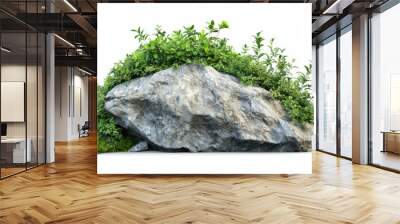 Natural landscape with rock and greenery in the garden isolated on white background for graphic design. Wall mural