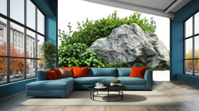 Natural landscape with rock and greenery in the garden isolated on white background for graphic design. Wall mural